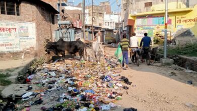 Photo of कचरे ने किया लोगों की नाक में दम,गंदगी से बेहाल जिंदगी