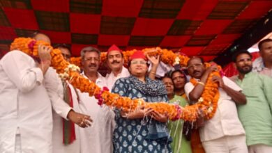 Photo of नगर पंचायत निगोही में गठबंधन की प्रत्याशी ज्योत्सना कश्यप विशाल जनसभा को किया संबोधित, हुआ भव्य स्वागत