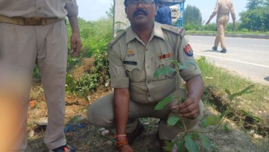 Photo of वन महोत्सव कार्यक्रम के तहत बमरोली चौकी कल्होर पछा में उपनिरीक्षक सत्येंद्र सोनकर ने चौकी में किया वृक्षारोपण