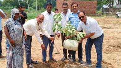 Photo of बीडीओ और ब्लॉक प्रमुख प्रतिनिधि ने किया वृहद पौधारोपण