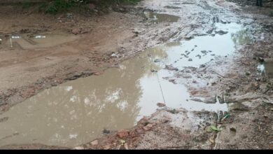 Photo of लगातार बारिश से जन जीवन अस्त-व्यस्त, गांव नाममई में जलभराव