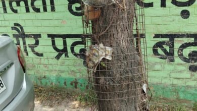Photo of जिला वन अधिकारी कार्यालय और सचिवालय के पास और ब्रास मार्केट में पेड़ों की सुरक्षा के लिए लगाई जाली हटवाने के लिए प्रतिध्वनि एक गूंज के जिला अध्यक्ष ने किया निवेदन