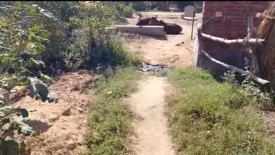 Photo of स्वच्छ भारत मिशन को पलीता लगा रहे जिम्मेदार, वायरल वीडियो ने खोली पोल