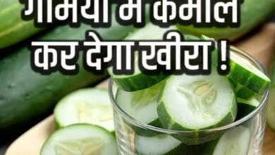 Photo of गर्मियों में खीरा खाना कितना है फायदेमंद जाने विशाल गुप्ता के साथ