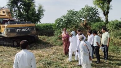 Photo of नहर की सफाई करते समय कई पेड़ उखाड़े