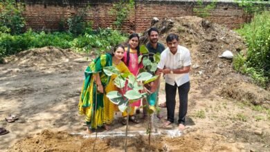 Photo of रेवाड़ी: केएलपी कॉलेज में हवन-यज्ञ और पौधारोपण के साथ नए सत्र का शुभारंभ