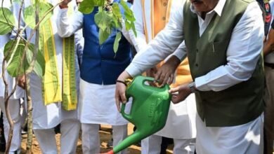 Photo of रोहतक में खिला ‘नमो वन’: मोदी जन्मदिन पर हरियाली का महोत्सव