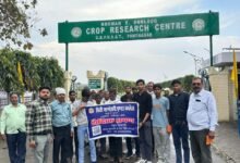 Photo of पंतनगर शैक्षिक भ्रमण: सीएमएस विद्यार्थियों ने सीखी आधुनिक कृषि तकनीकें, फूलों से फसलों तक ज्ञान का विस्तार