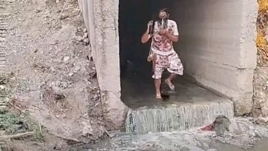 Photo of नाला, नौटंकी और ‘कॉकरोच क्रांति’