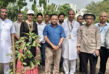 Photo of रामचन्द्र मिशन आश्रम में किया गया पौधारोपण 