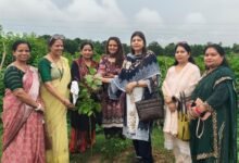 Photo of ‘सहयोग’ के हरित अभियान की सीडीओ ने की मुक्तकंठ से सराहना