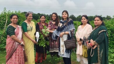Photo of ‘सहयोग’ के हरित अभियान की सीडीओ ने की मुक्तकंठ से सराहना